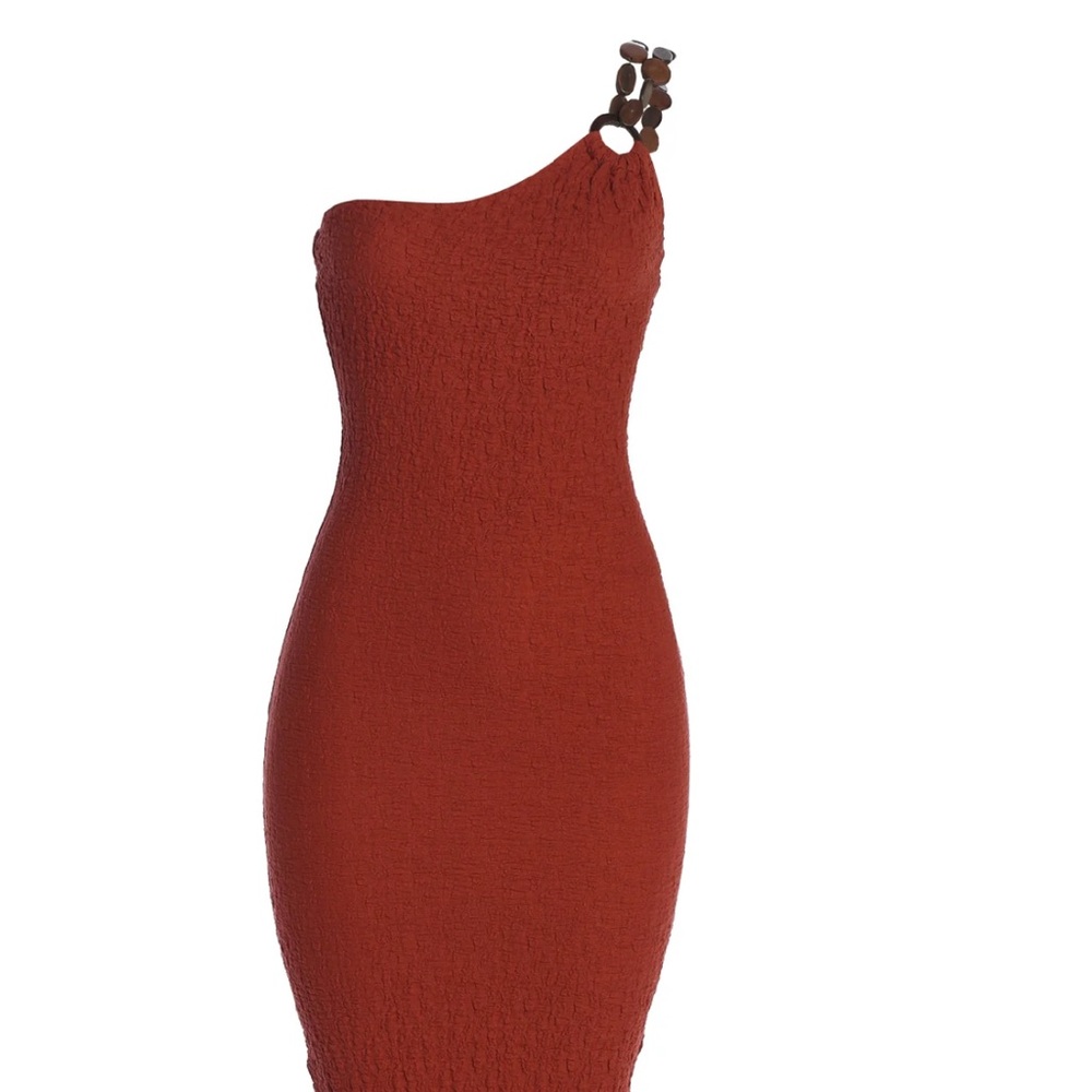 Terra Cota Bodycon Dress